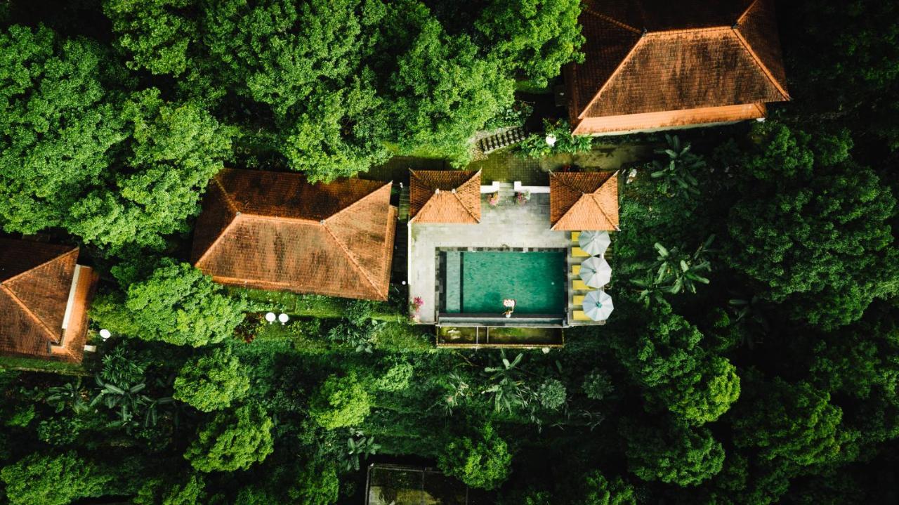 Wisma tamu Sari Munduk (Bali)